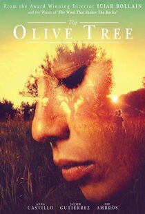 دانلود فیلم The Olive Tree 201615934-1128148999