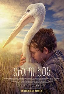 دانلود فیلم Storm Boy 20199003-1697512511