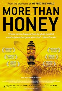 دانلود مستند More Than Honey 201240978-2094223247