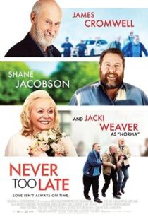 دانلود فیلم Never Too Late 202055190-430381617