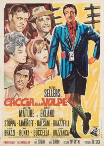 دانلود فیلم After the Fox 1966376229-1543307635
