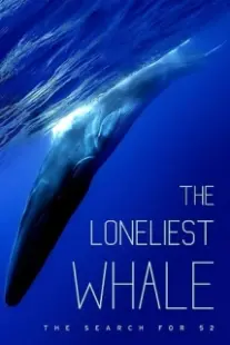 دانلود فیلم The Loneliest Whale: The Search for 52 2021403098-510644071