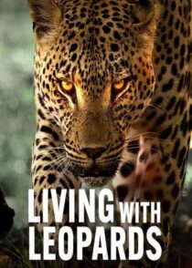 دانلود مستند Living with Leopards 2024400477-1308487789