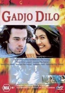دانلود فیلم The Crazy Stranger 1997407241-485227463