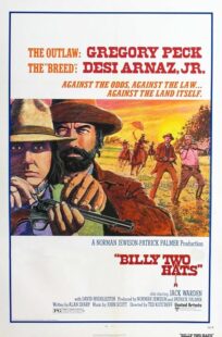 دانلود فیلم Billy Two Hats 1974411057-2053518162