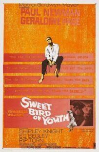 دانلود فیلم Sweet Bird of Youth 1962415738-1668409970