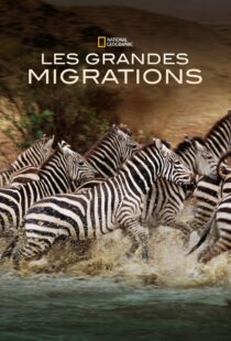 دانلود مستند Great Migrations417146-1603126605