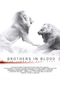 دانلود مستند Brothers in Blood: The Lions of Sabi Sand 2015424819-1924508042
