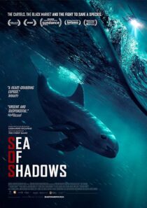 دانلود فیلم Sea of Shadows 2019427147-1422388172