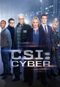 دانلود سریال CSI: Cyber428329-1275543374