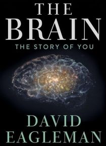 دانلود سریال The Brain with Dr. David Eagleman428613-952883382