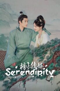 دانلود سریال Serendipity432481-1905791878