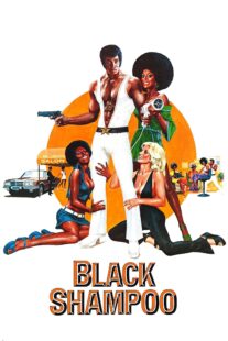 دانلود فیلم Black Shampoo 1976435042-1755870009