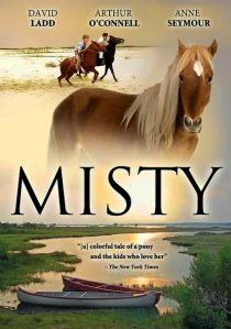 دانلود فیلم Misty 1961436665-1688197649